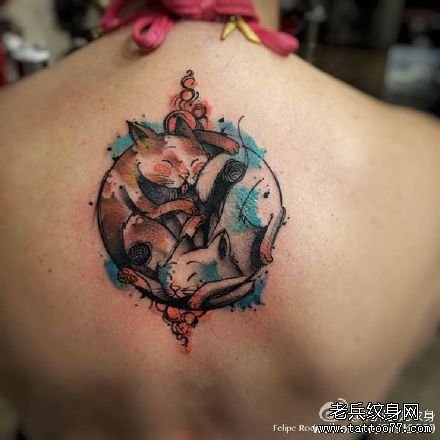 �󱳶�è������ͼ��