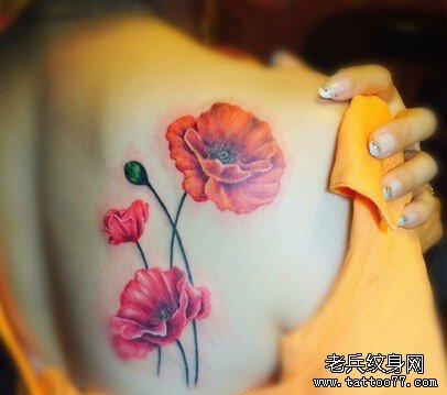 �󱳻�������ͼ��