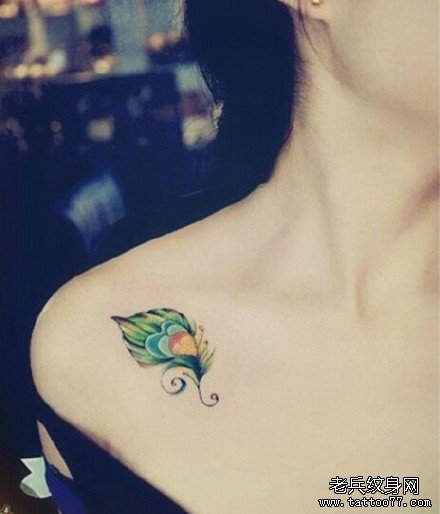 �ز���ë����ͼ��