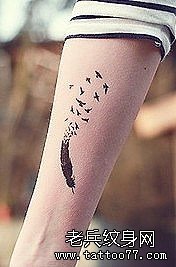 �ֱ���ë����ͼ��