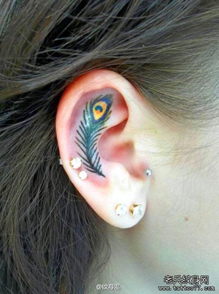 ��������ë����ͼ��