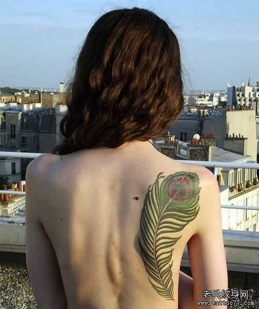 ����ë����ͼ��