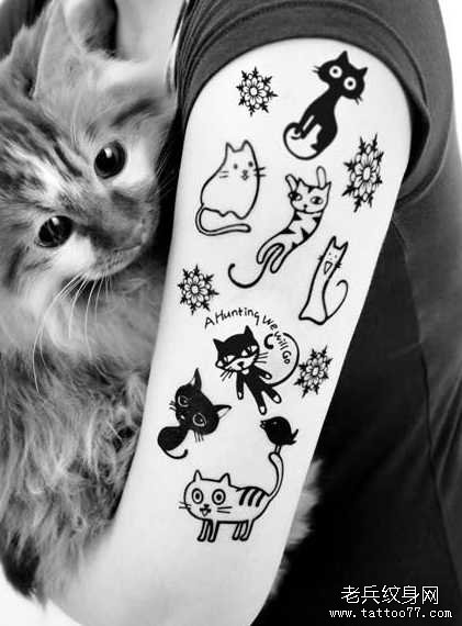 �첲�ڰ�è������ͼ��