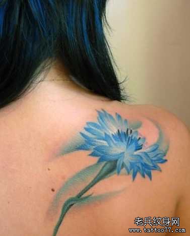 ����ɫ��������ͼ��