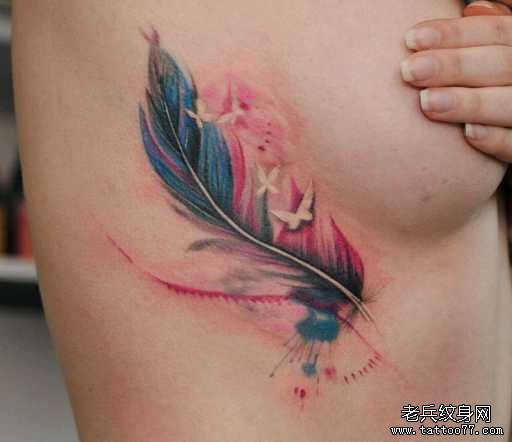 �ز�����ë����ͼ��