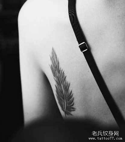 ����ë����ͼ��