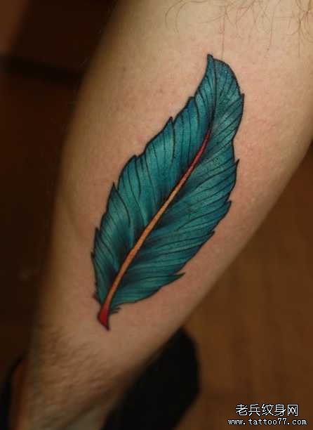 �Ȳ���ɫ��ë����ͼ��