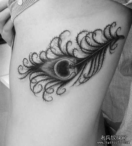 ��ë����ͼ��