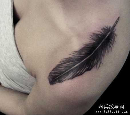 �ڰ���ë����ͼ��