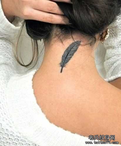 ����ë����ͼ��