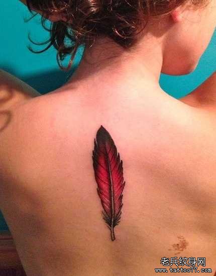 �󱳺���ë����ͼ��