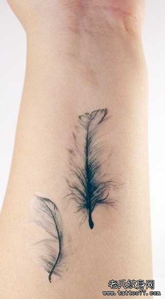 �ֱ���ë����ͼ��