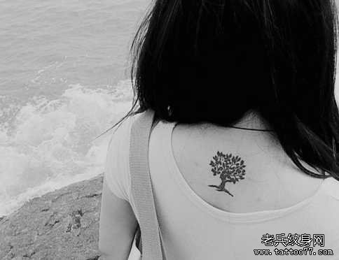 ������С������ͼ��