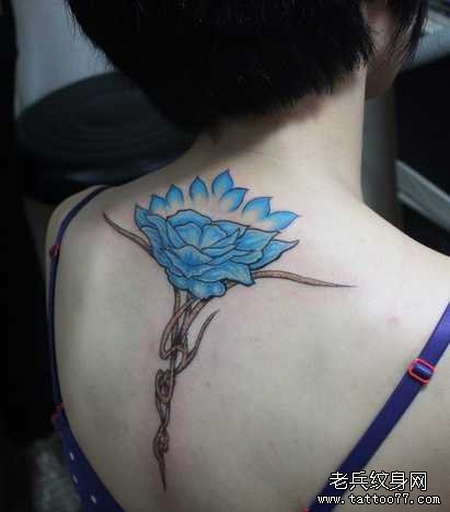 ����������ͼ��