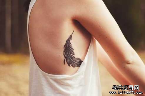 ��ë����ͼ��