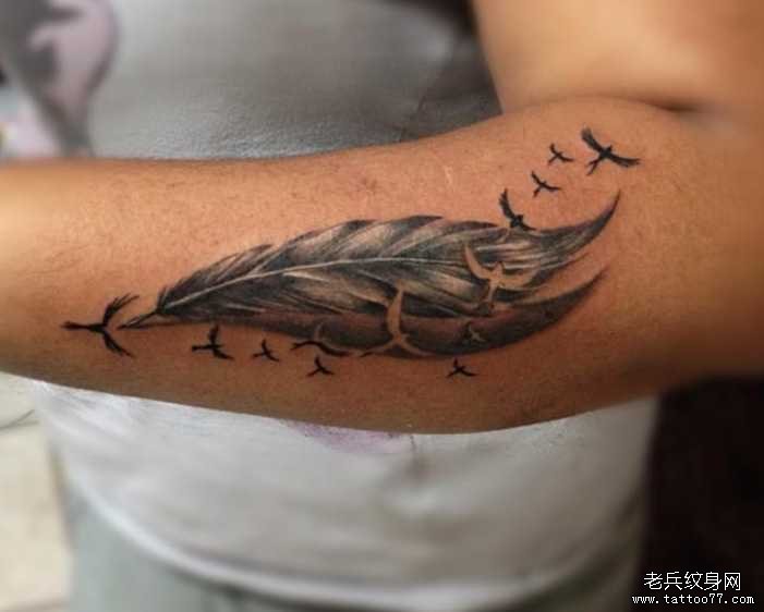 �ֱۺ���ë����ͼ��