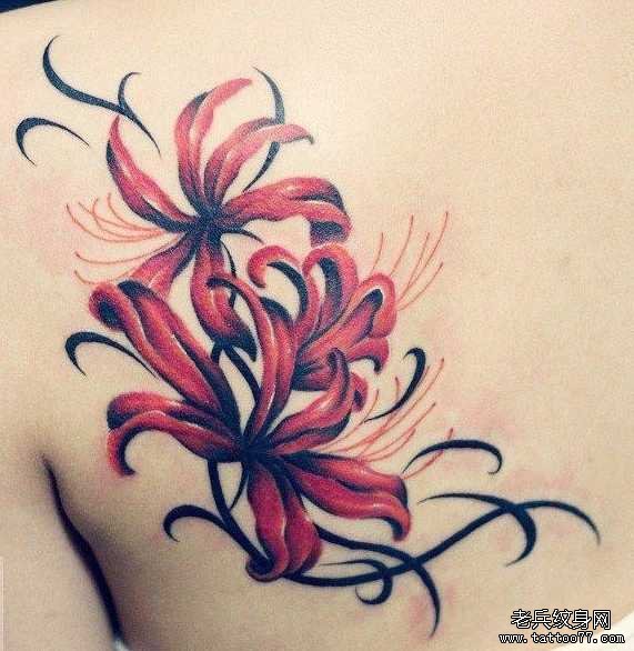 �󱳱˰�������ͼ��