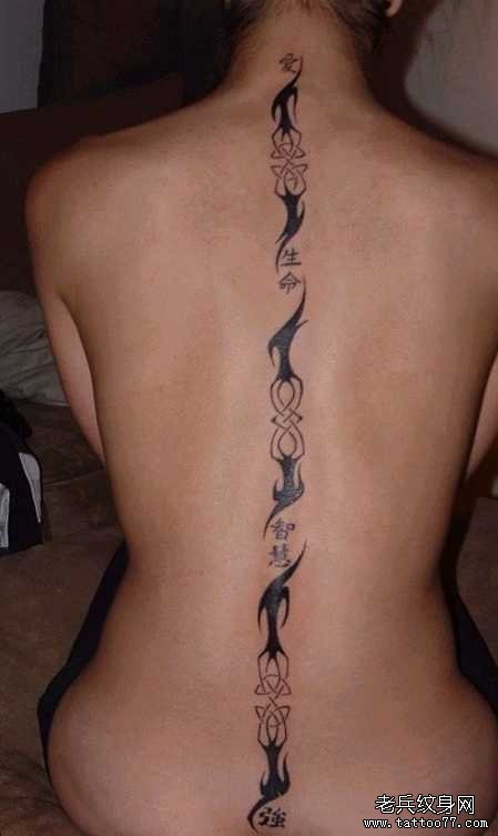 �󱳼�Ư������ͼ��