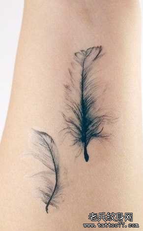 Ư����ë����ͼ��