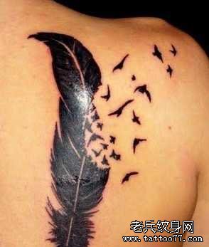 �󱳺���ë����ͼ��