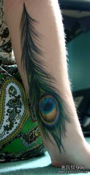 ��ȸ��ë����ͼ��