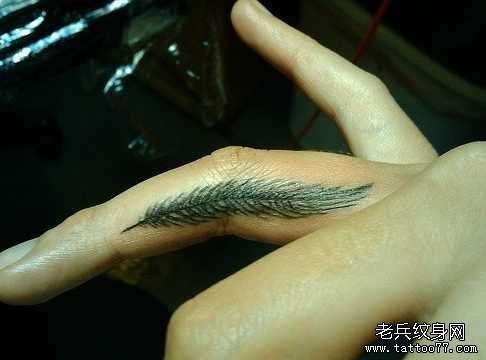 ��ָ��ë����ͼ��