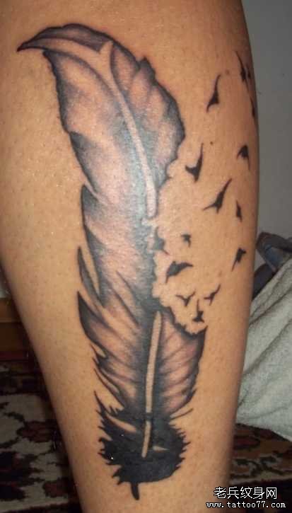 �Ȳ���ë����ͼ��