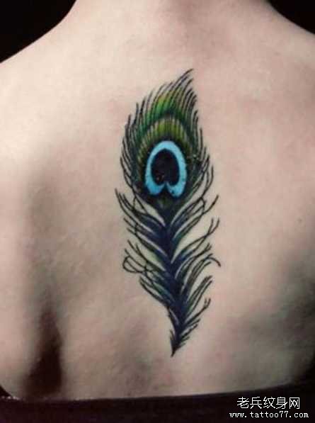 ��ȸ��ë����ͼ��