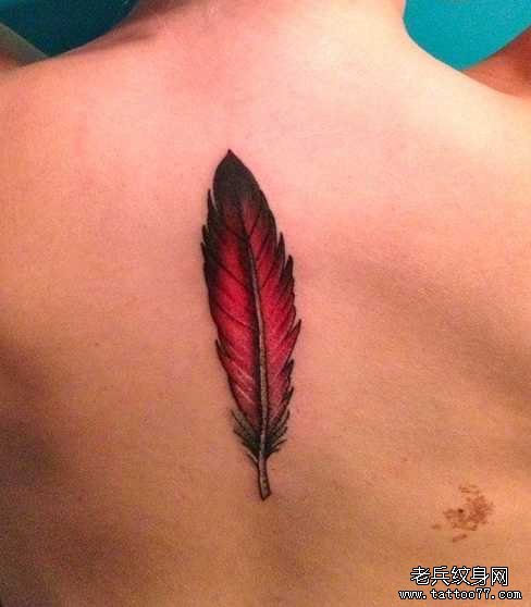 �󱳺���ë����ͼ��