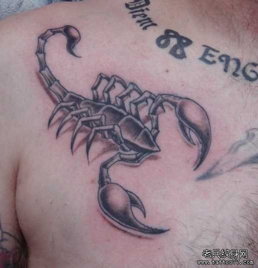 胸部黑蝎子纹身图案