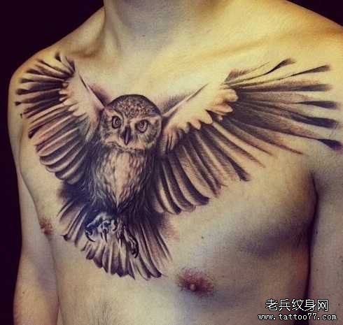 胸部鹰纹身图案