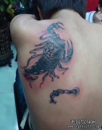 后背蝎子逼纹身图案