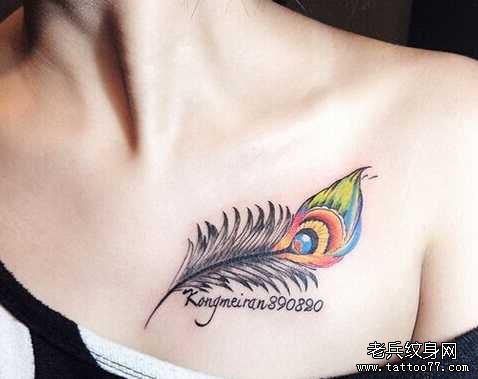 �ز�����ë����ͼ��