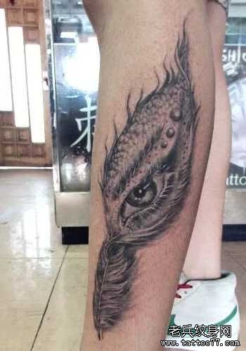 �Ȳ���ë������ͼ��