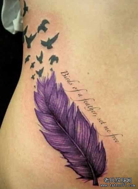 ��������ëС������ͼ��