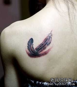 ����ë����ͼ��