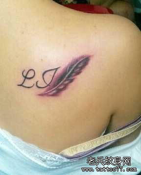 ����ë����ͼ��