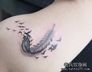 ����ëС������ͼ��