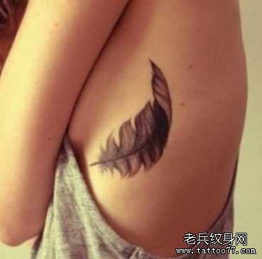 ��ë����ͼ��