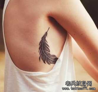 ��ë����ͼ��