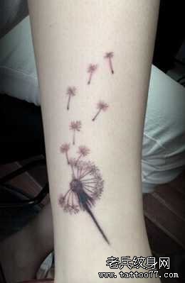 �Ȳ�����Ӣ����ͼ��