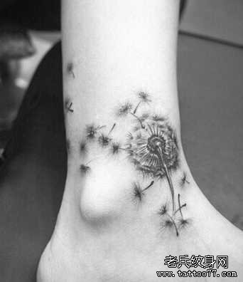 �Ȳ�����Ӣ����ͼ��