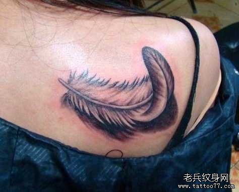 ����ë����ͼ��