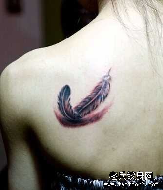 ����ë����ͼ��