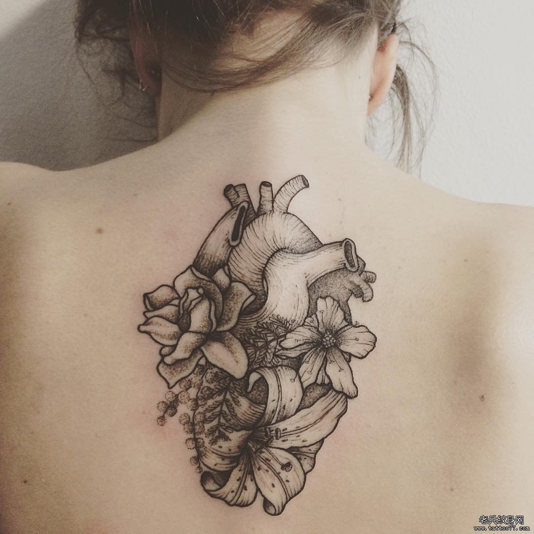 �����໨������ͼ��