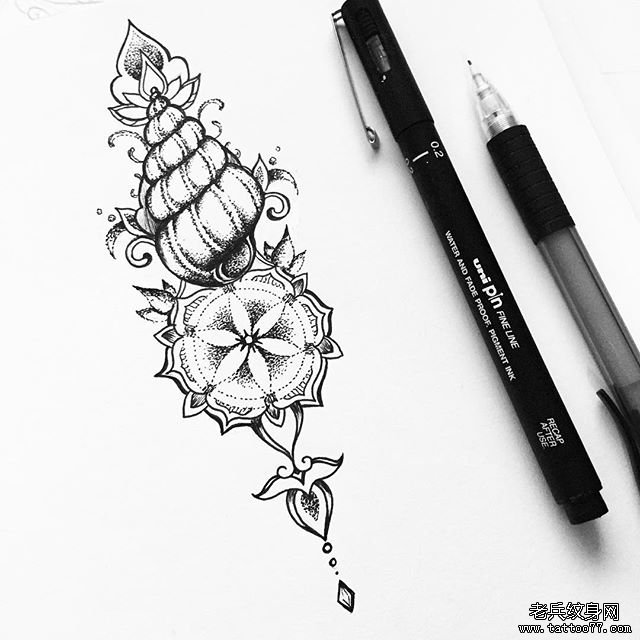 ��˿�������ͼƬ