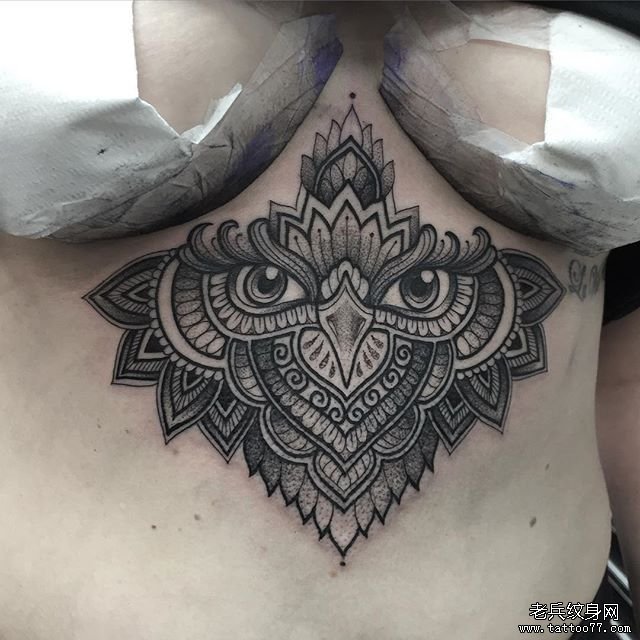 �ؿ�С������˿����ͼ��