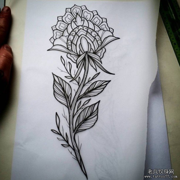 С���»�������ͼ��