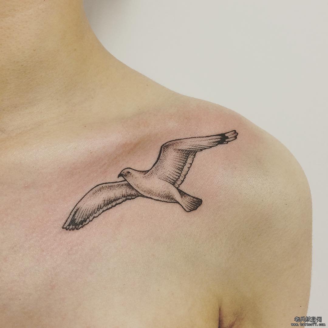 �ؿ�С���Ÿ�С��������ͼ��