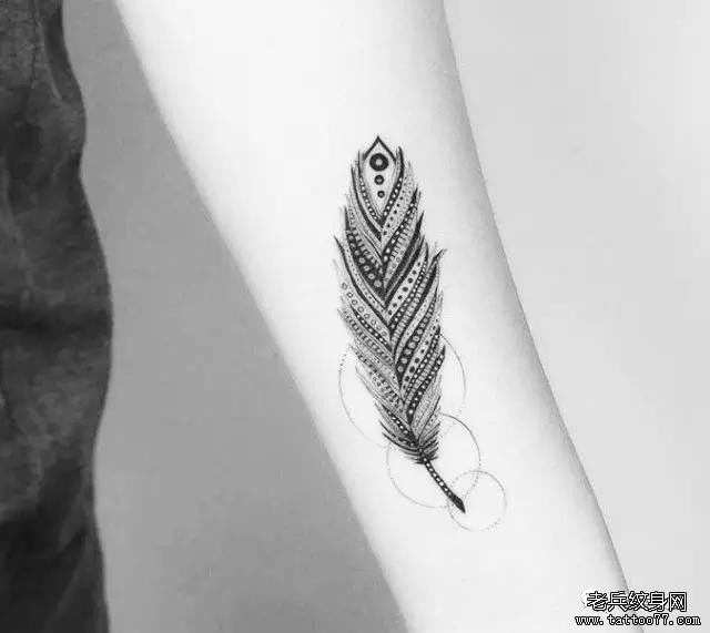 �ֱ���ë����ͼ��